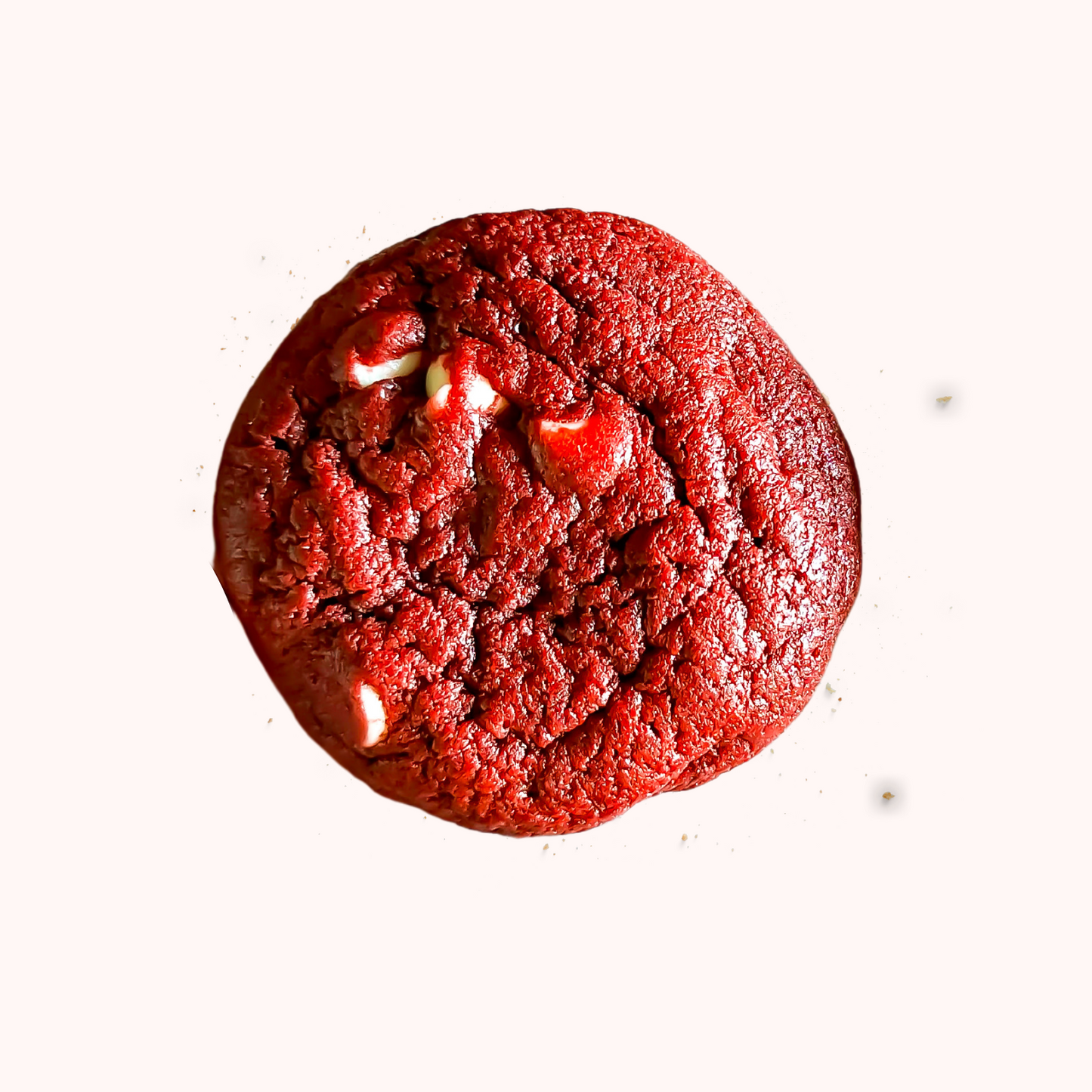 Red Velvet & White Chocolate Chunk Cookie